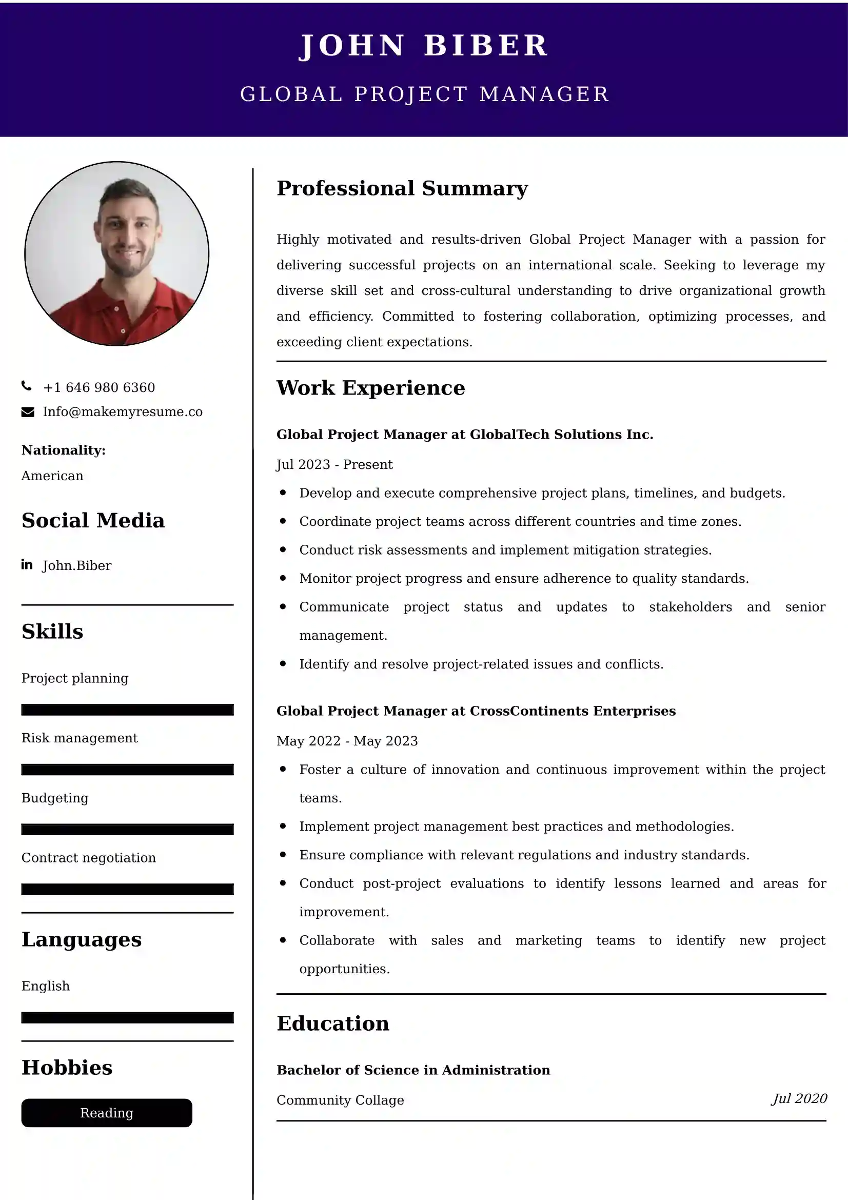 Global Project Manager Resume Sample