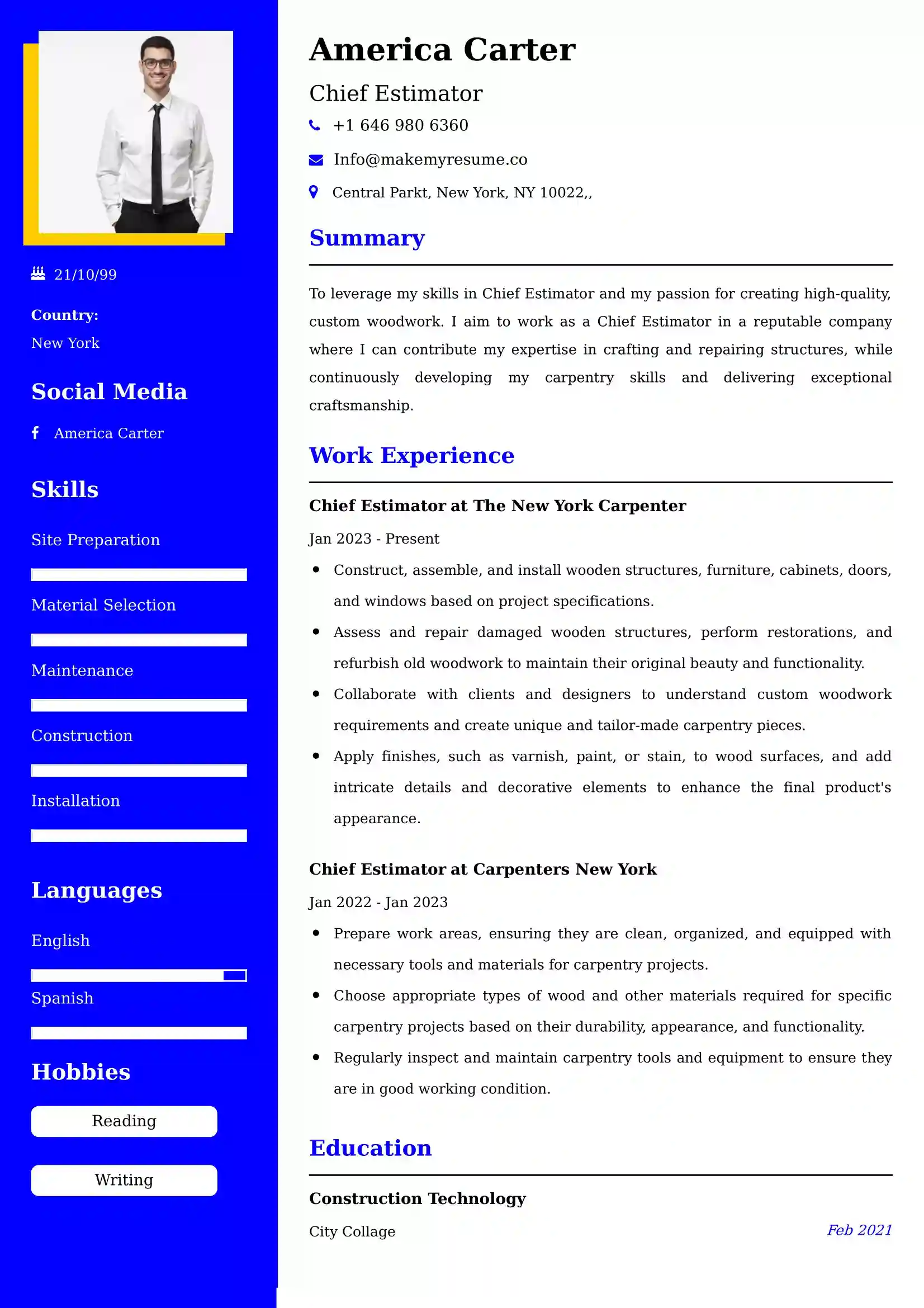 Chief Estimator Resume Examples for UK Jobs - Tips and Guide