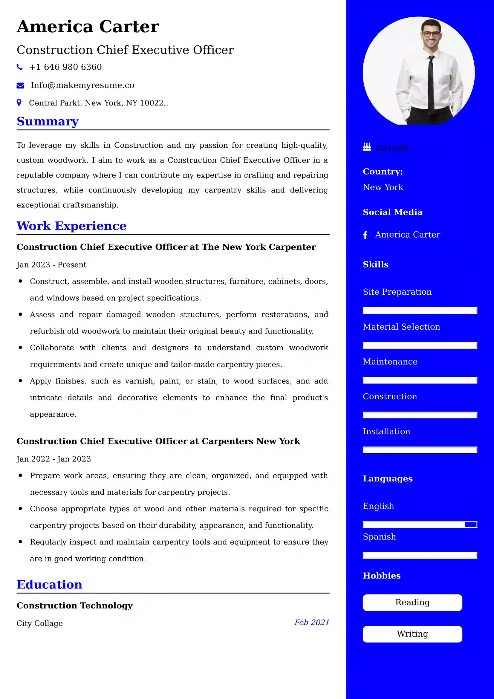 Construction Chief Executive Officer Resume Examples for UK Jobs - Tips and Guide